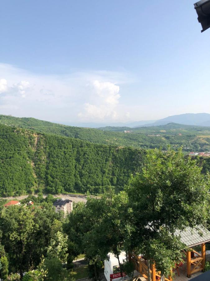 Bujtina Vrenezi Peshkopi Exterior foto